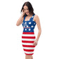 USA Fitted Dress