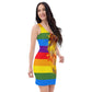 Rainbow Fitted Dress (large Lion)