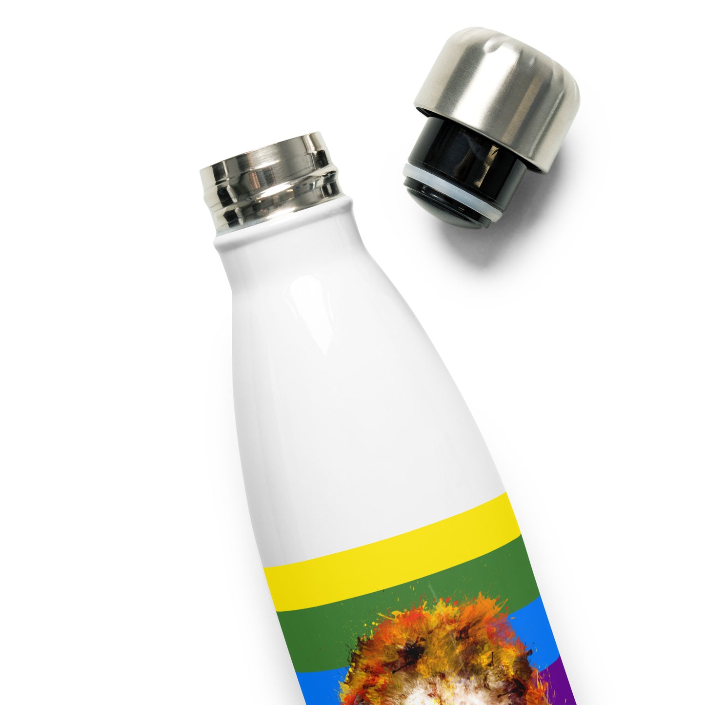 Rainbow Stainless Steel Water Bottle